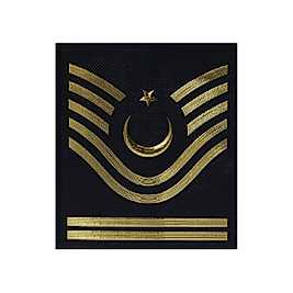 Jandarma Asayiş Astsubay Kıdemli Başçavuş Rütbe - Kol 3D